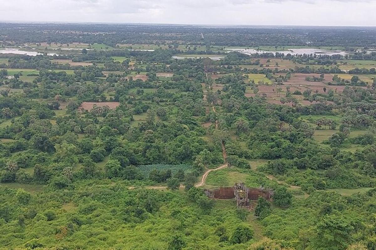 pemandangan udara padang dengan pokok dan jalan