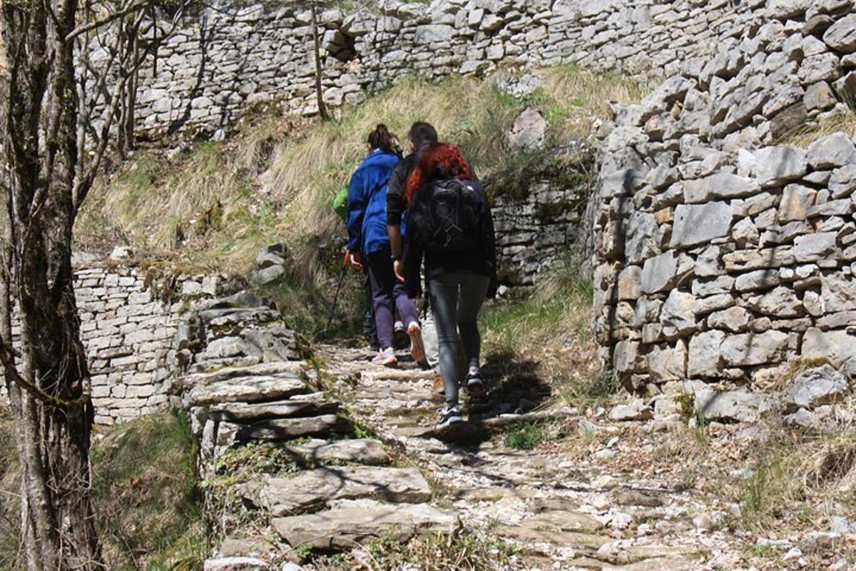 Lankytinos vietos ar pramogos nuotrauka numeris 7