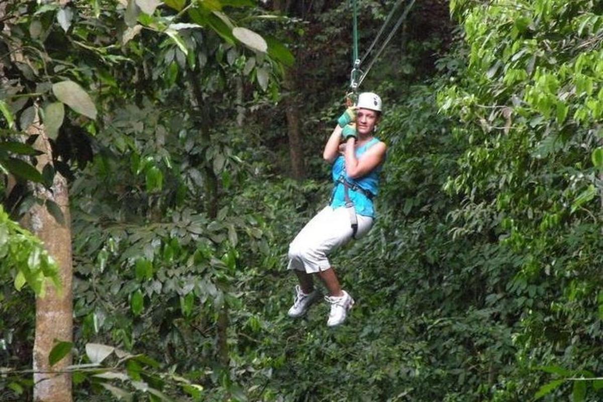 seorang pria di jalur zipline di hutan