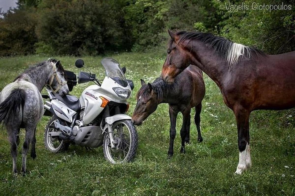 ภาพถ่ายสิ่งที่น่าสนใจภาพที่ 1