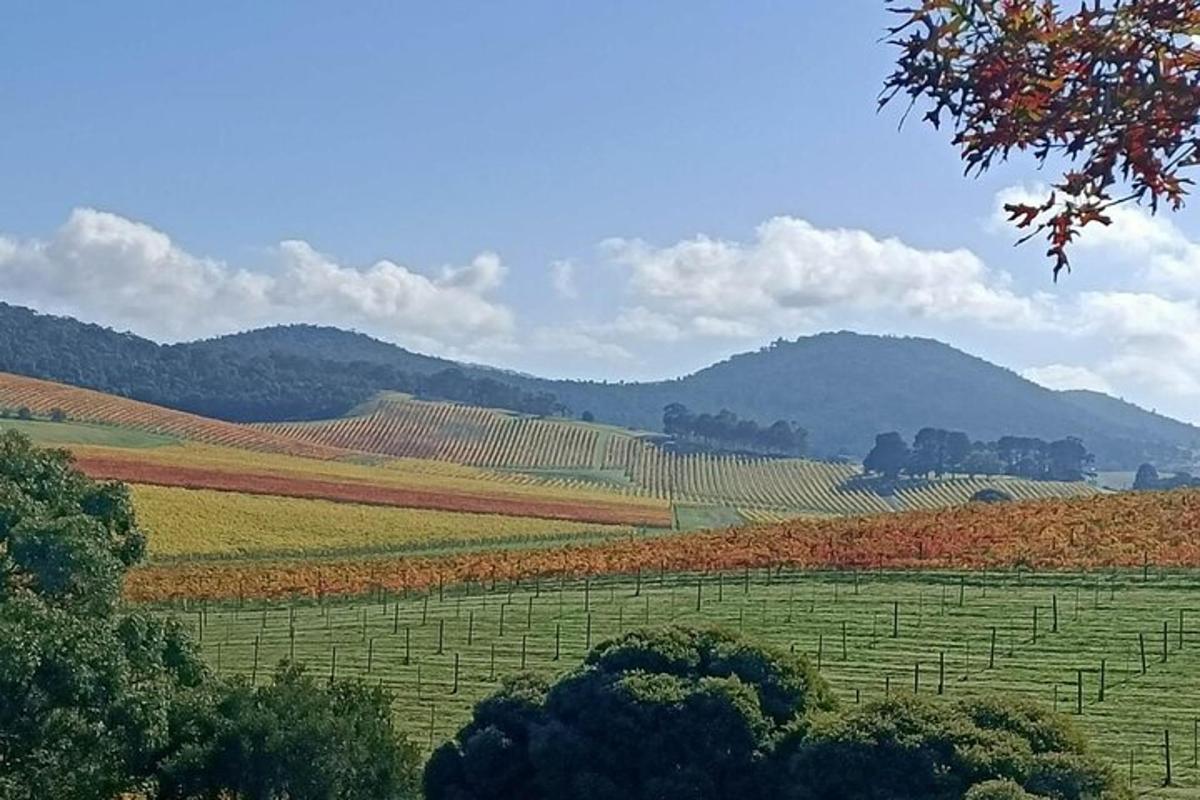 um campo verde com árvores e montanhas ao fundo