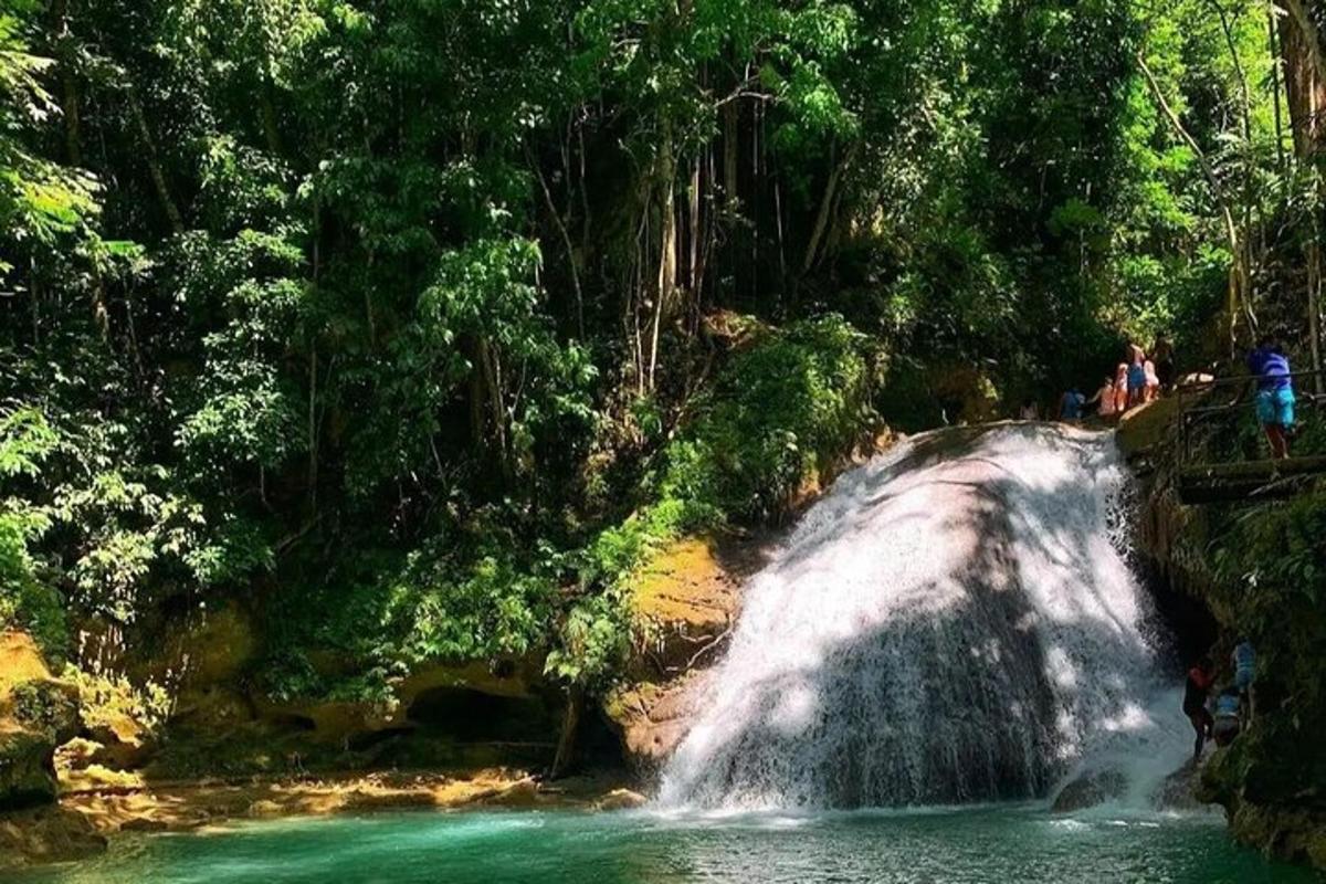 una cascata in una foresta con persone in piedi sul lato di essa