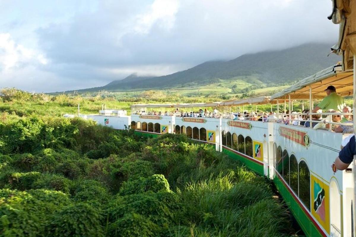 a train full of people riding on the train