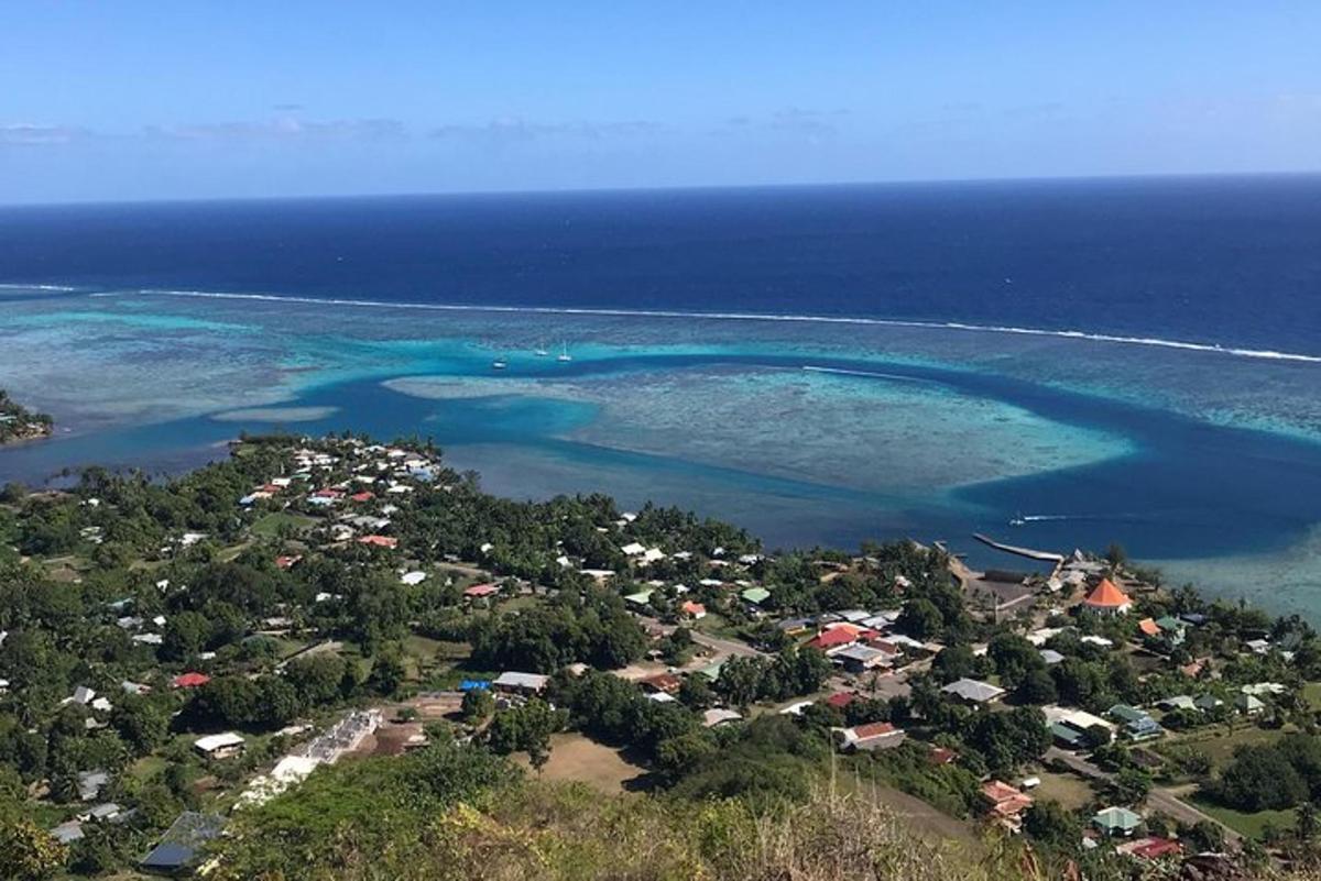 une vue aérienne d'une île dans l'océan