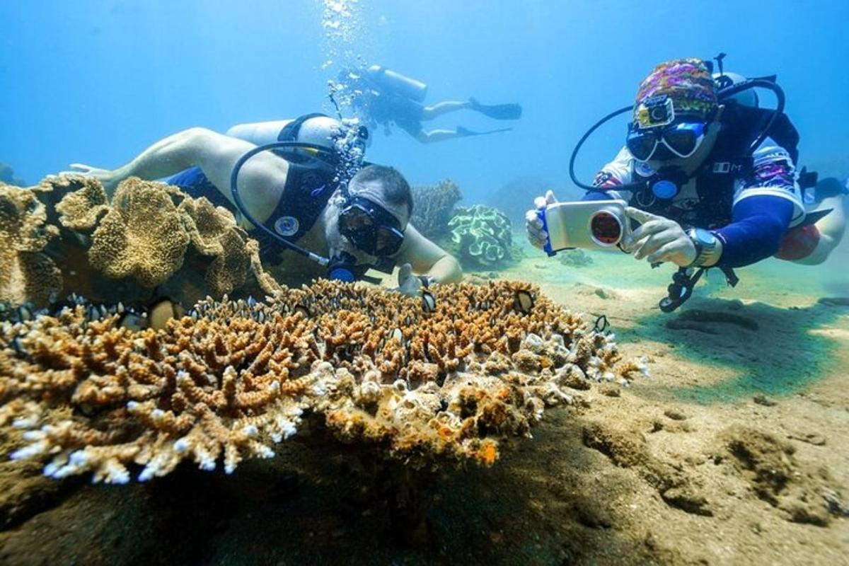 due persone che scattano una foto di una barriera corallina