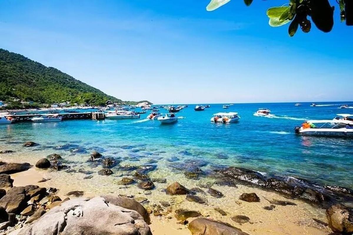 skupina čolnov v vodi na plaži
