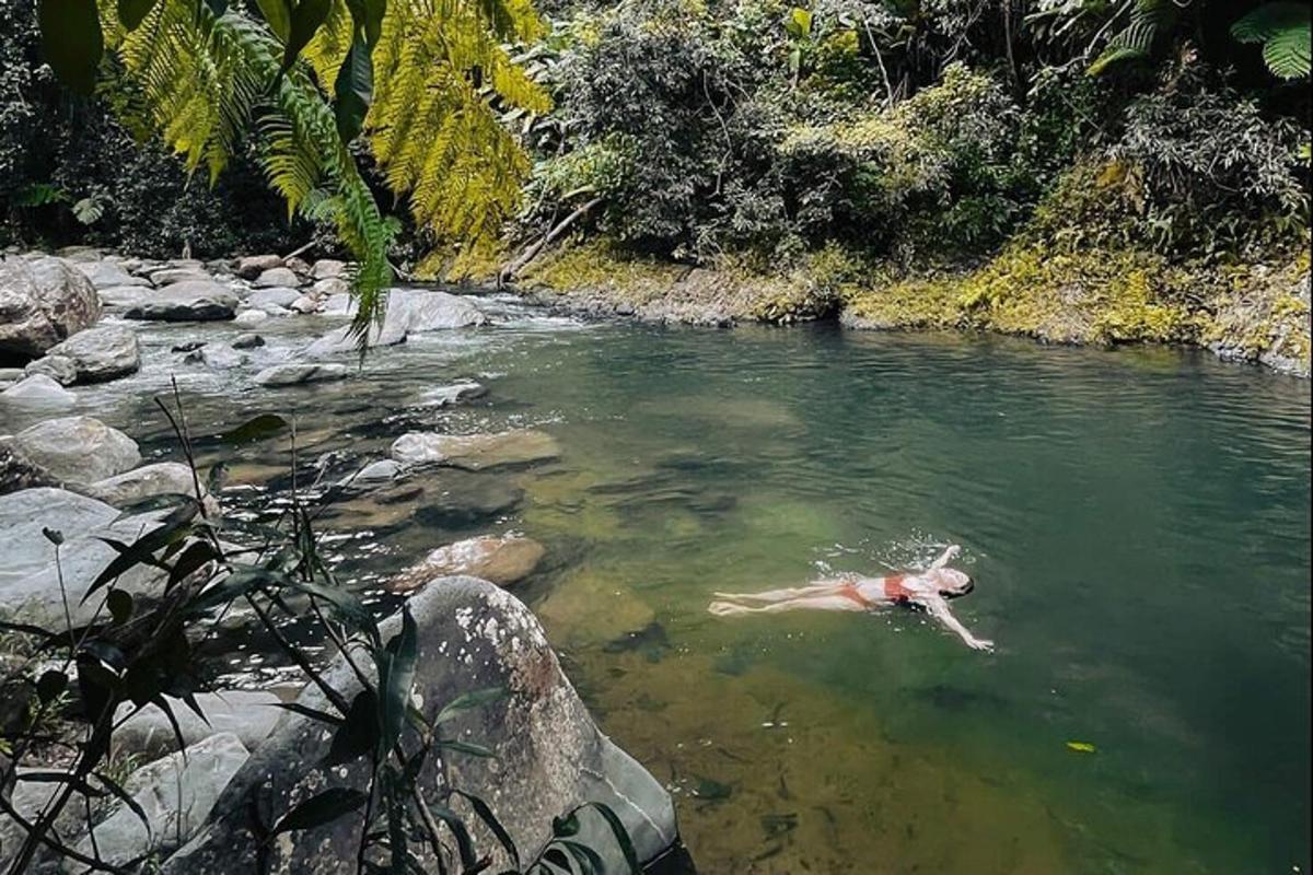 a person swimming in a river in the jungle