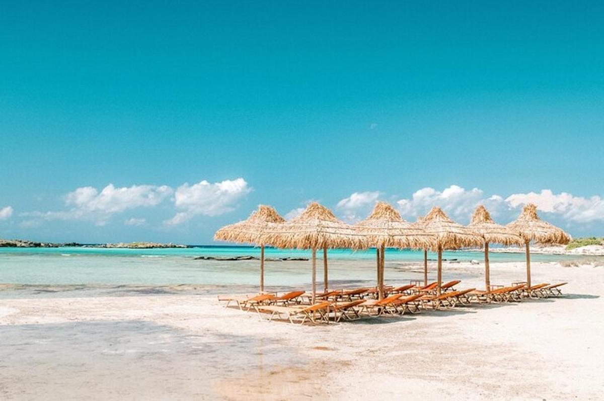 Un grupo de sillas y sombrillas en una playa.