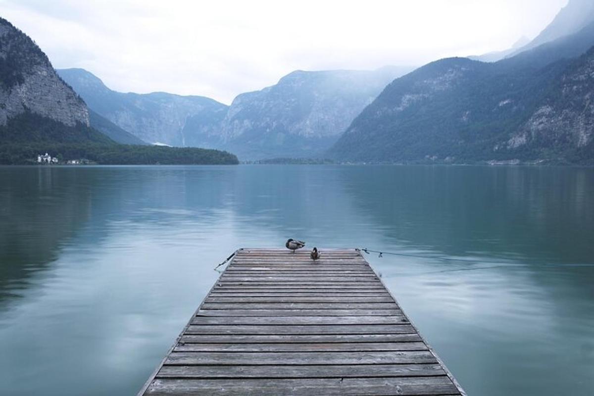 um pato sentado na ponta de uma doca em um lago