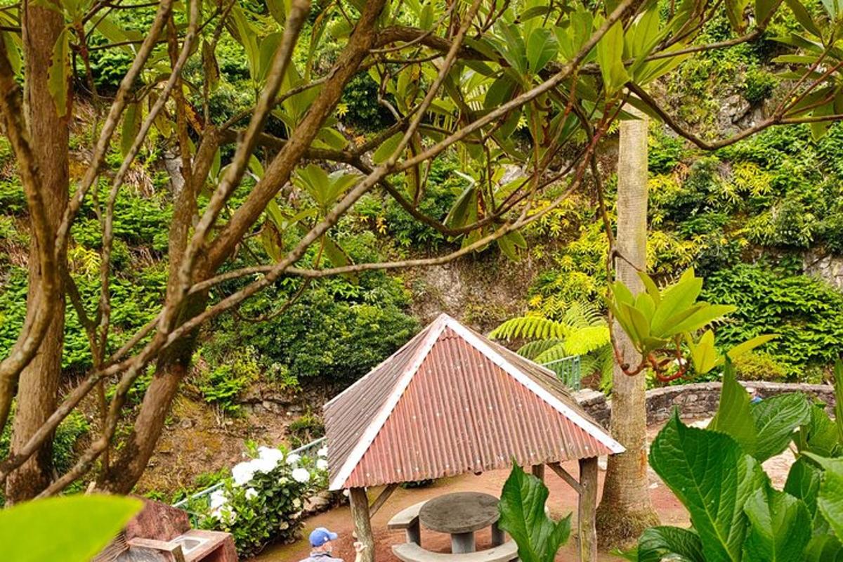 una petita casa amb sostre en un jardí