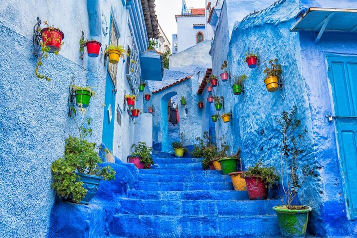 Stigi í bláu borginni Chefchaouen með pottaplöntum