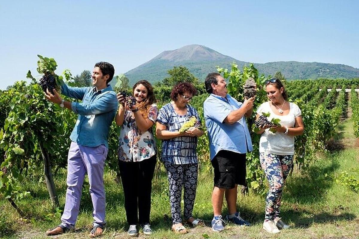 a group of people standing in a vineyard holding grapes
