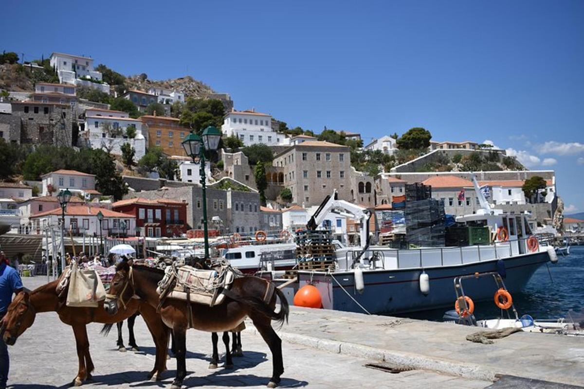 Φωτογραφία αξιοθέατου 1