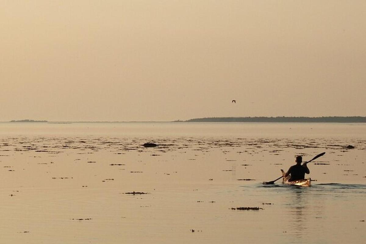 un hombre en una canoa en el agua