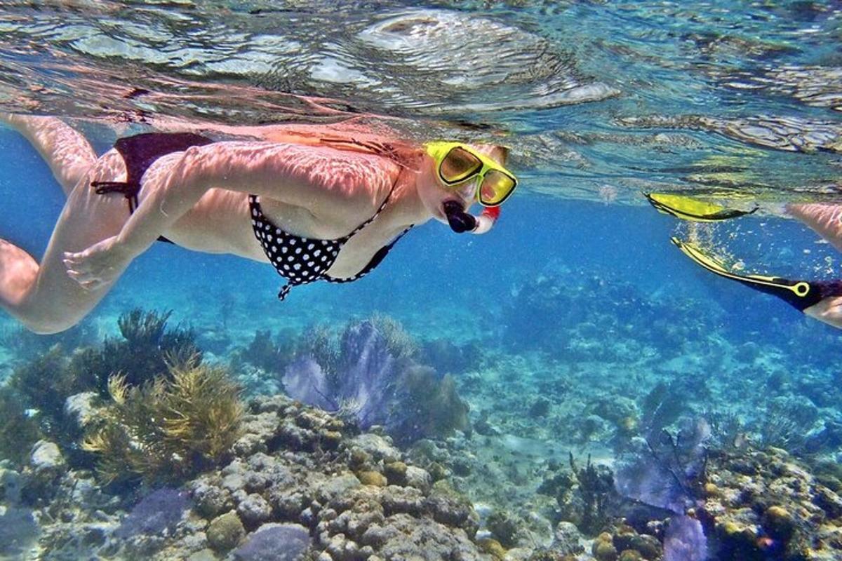 una persona che nuota nell'acqua vicino a una barriera corallina