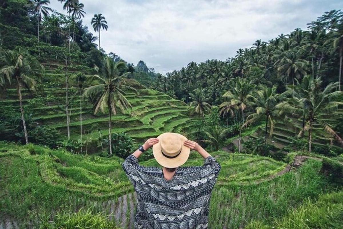 una donna che indossa un cappello che guarda un campo di palme