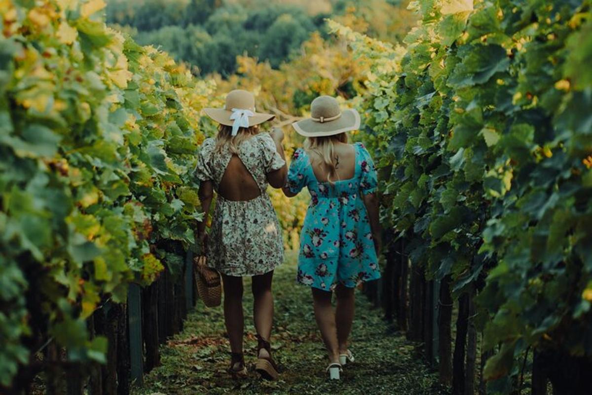 two women walking through a vineyard with hats on