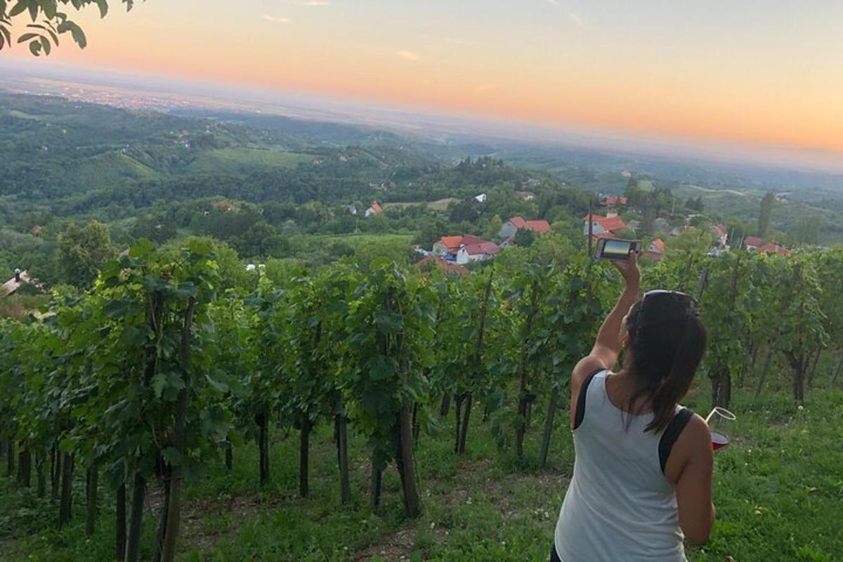 a woman taking a picture of a vineyard