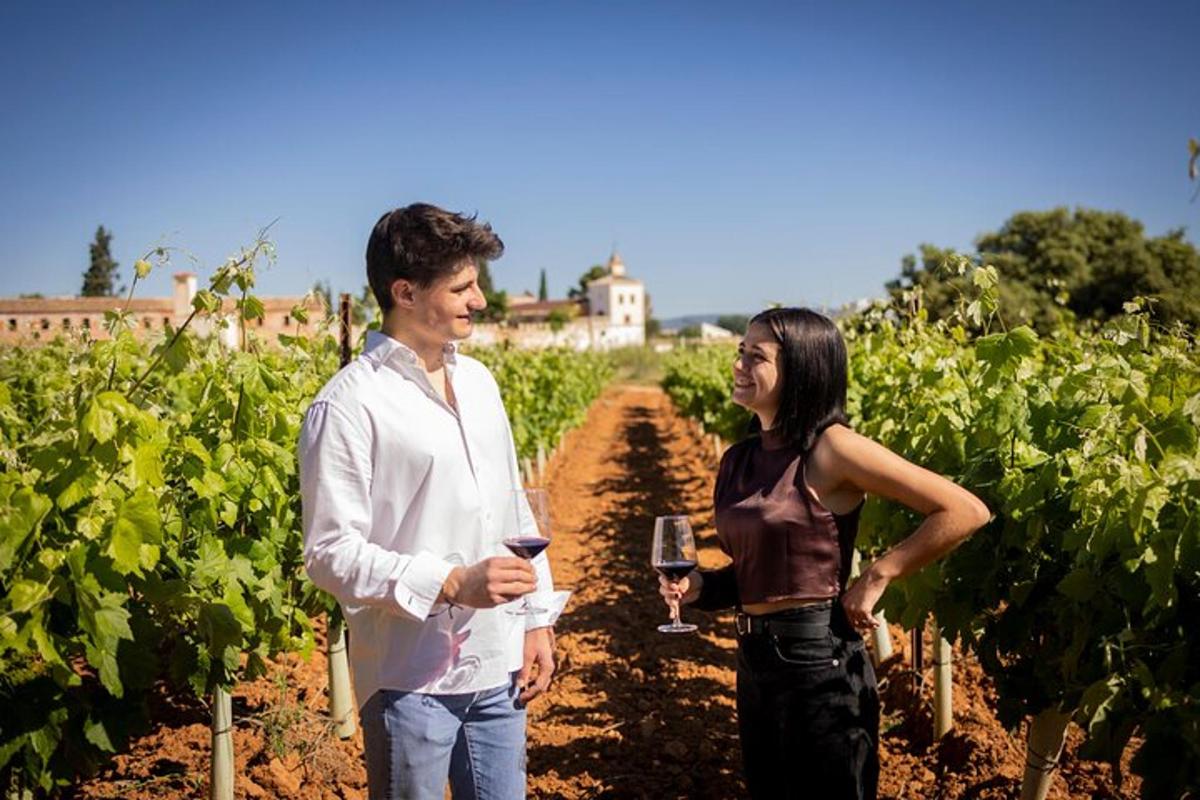 um homem e uma mulher em pé em um vinhedo segurando taças de vinho