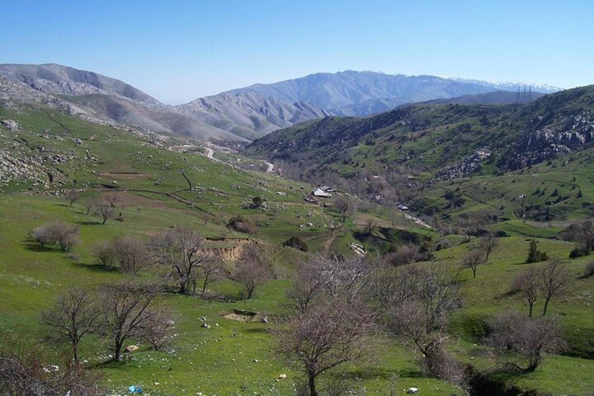 a green field with trees and mountains in the background
