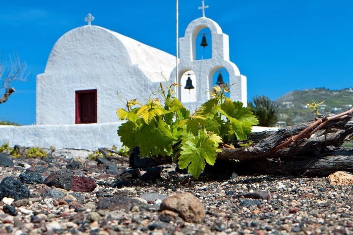 μια μικρή λευκή εκκλησία με ένα πεσμένο δέντρο μπροστά της