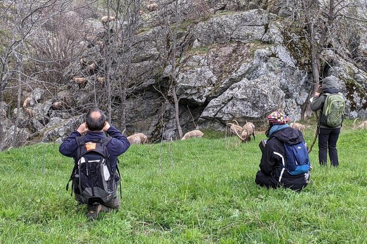 Lankytinos vietos ar pramogos nuotrauka numeris 4