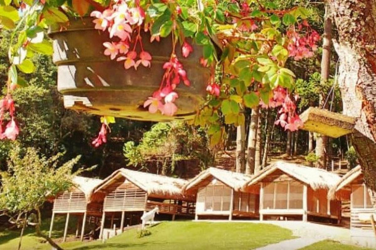 um buquê de flores rosas pendurado em uma árvore