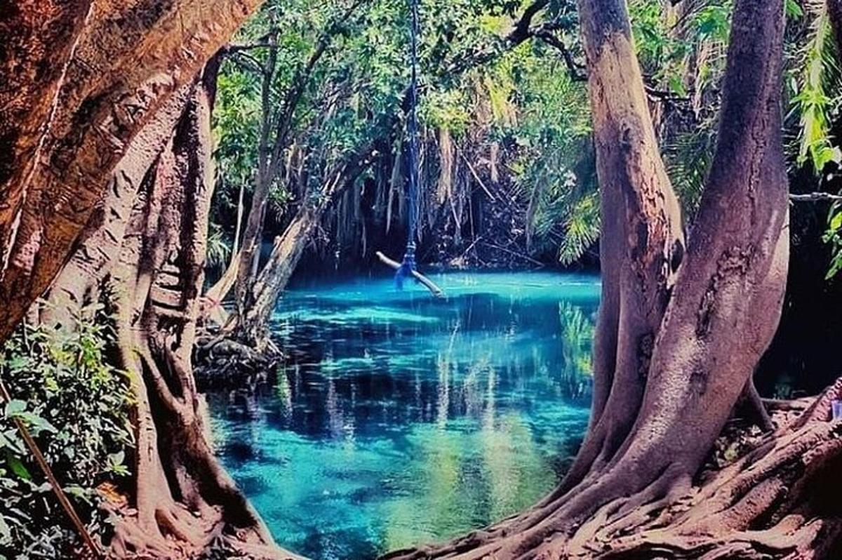 sungai di dalam hutan dengan air biru dan pokok