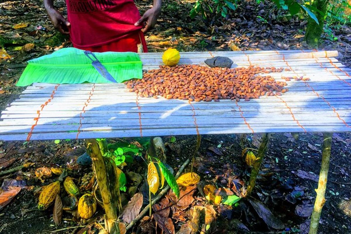một cái bàn có một đống thức ăn trên đó