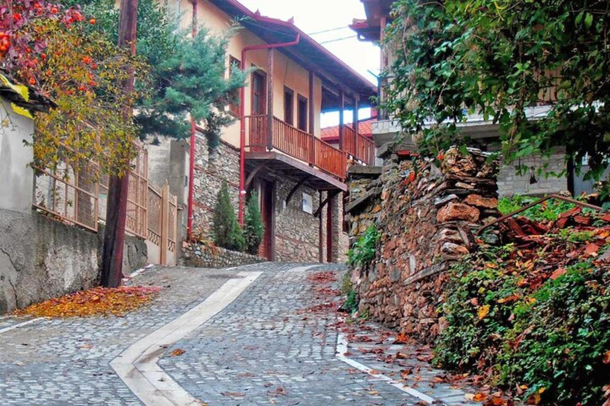 tlakovana ulica poleg opečne stavbe