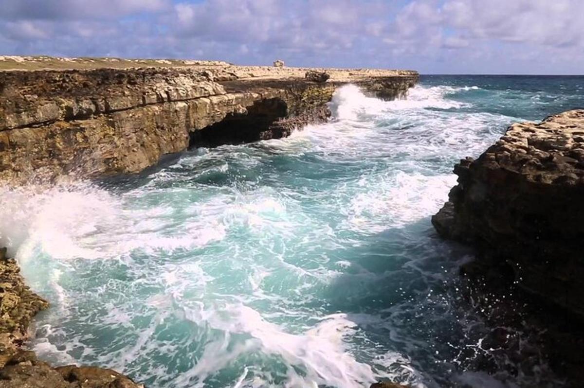 Lankytinos vietos ar pramogos nuotrauka numeris 3