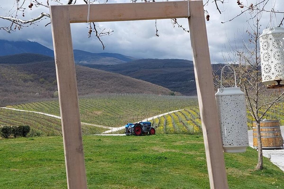 drveni luk s pogledom na vinograd