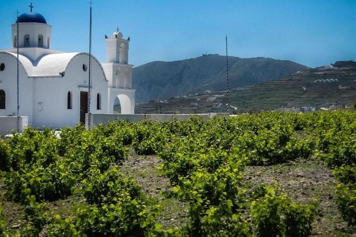 una chiesa bianca con un grappolo di viti davanti
