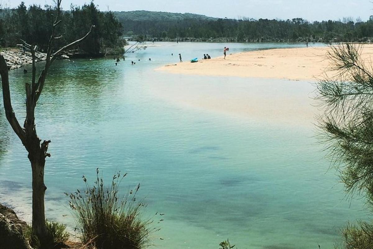 a beach with people swimming in the water