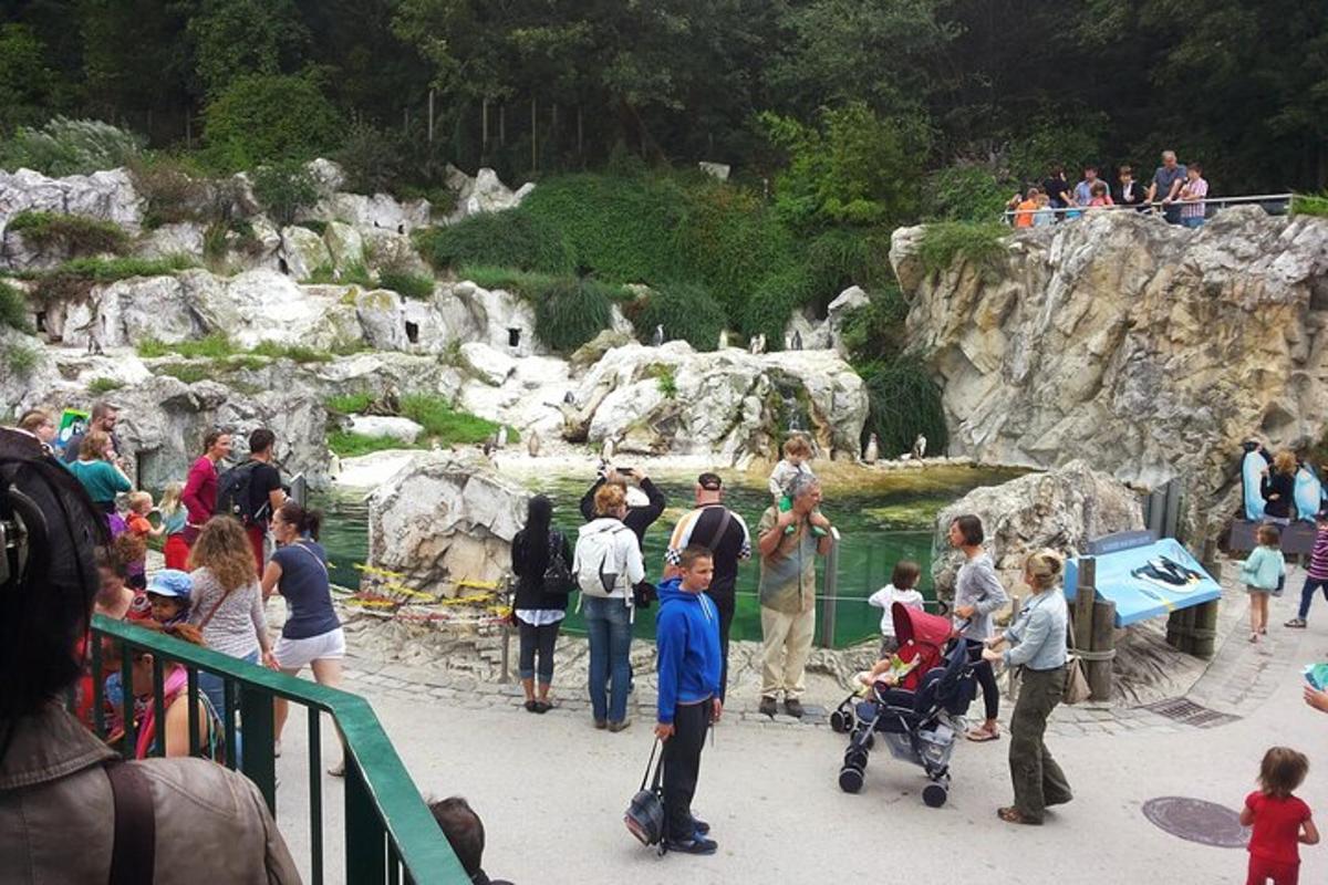 grupė žmonių, stovinčių priešais zoologijos sodą