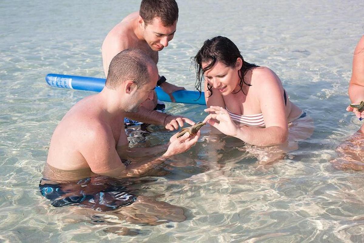 un gruppo di persone in acqua che guardano una tartaruga