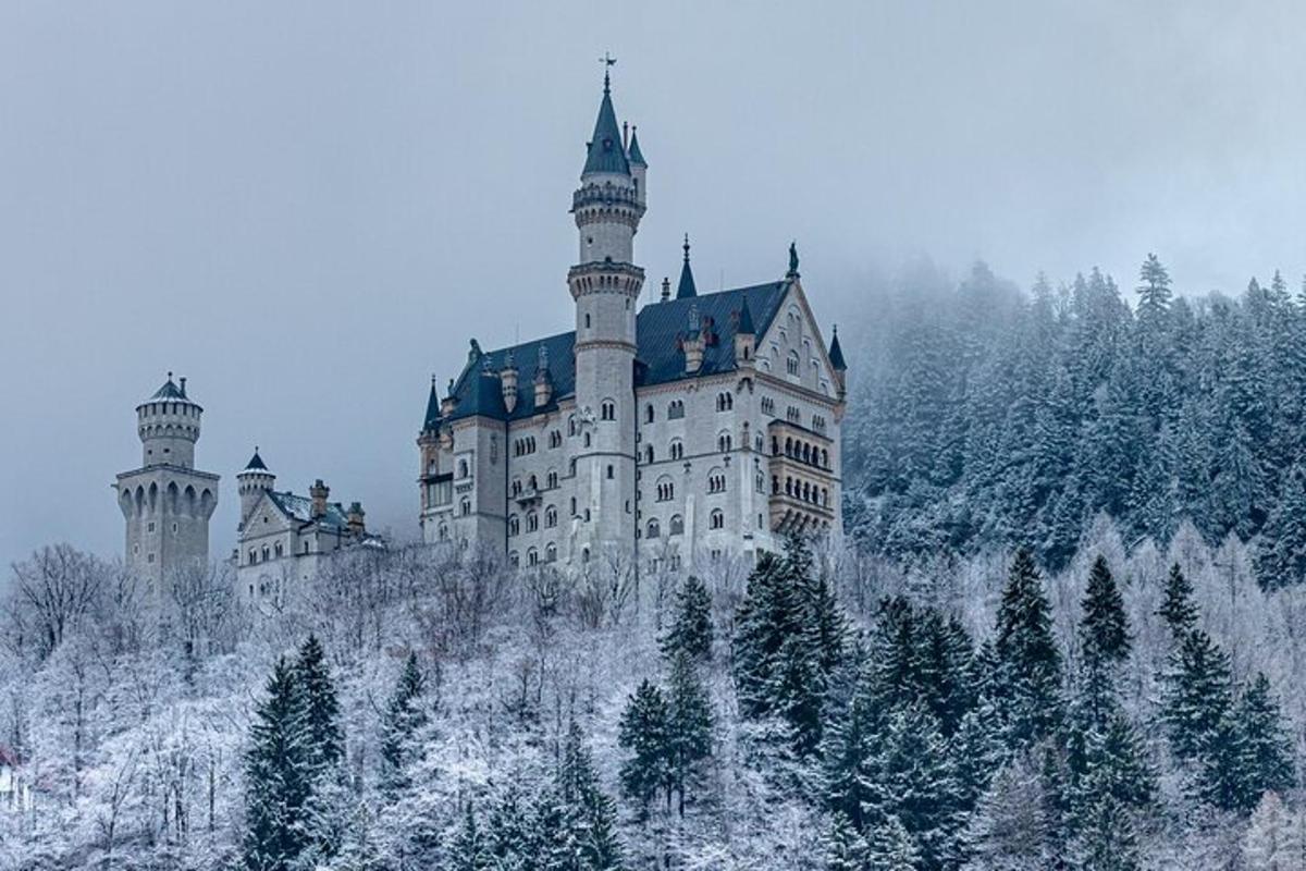 Un castillo en la cima de una colina con árboles cubiertos de nieve.
