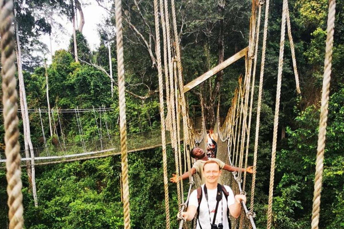 gente en un puente colgante en la jungla