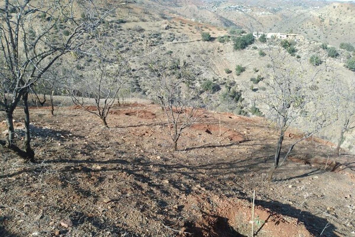 Lankytinos vietos ar pramogos nuotrauka numeris 6