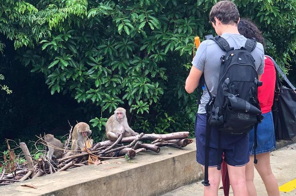seorang lelaki dengan beg galas melihat monyet di zoo