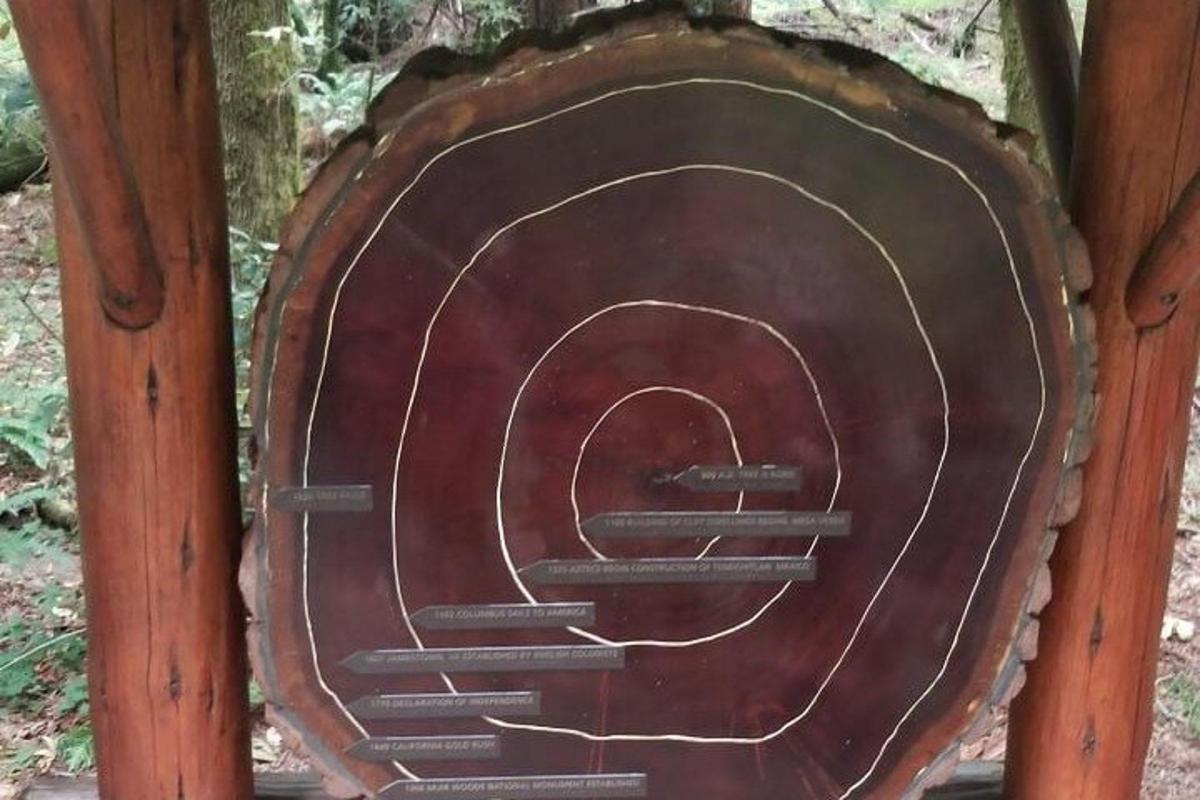 una struttura in legno con una porta con delle scale al suo interno