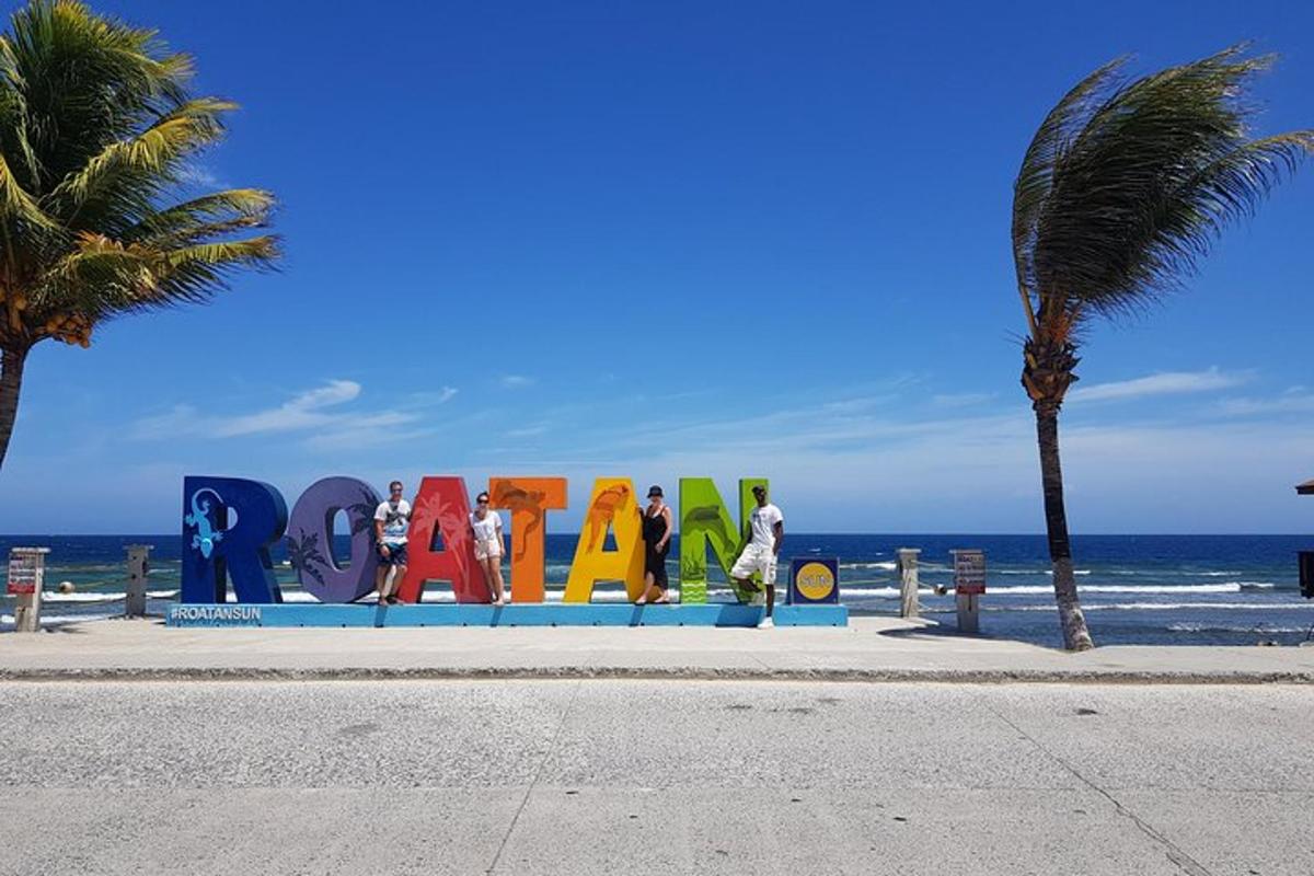 a colorful sign on the beach with a palm tree