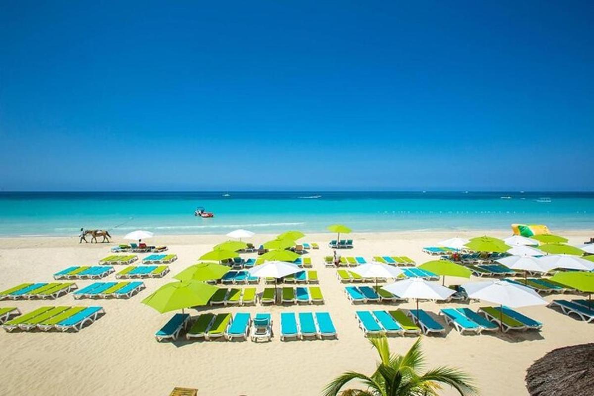 Una playa con sombrillas y sillas y el océano.