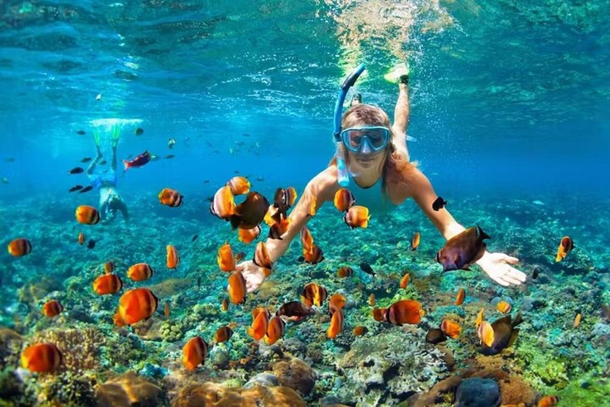 uma pessoa nadando na água com peixes