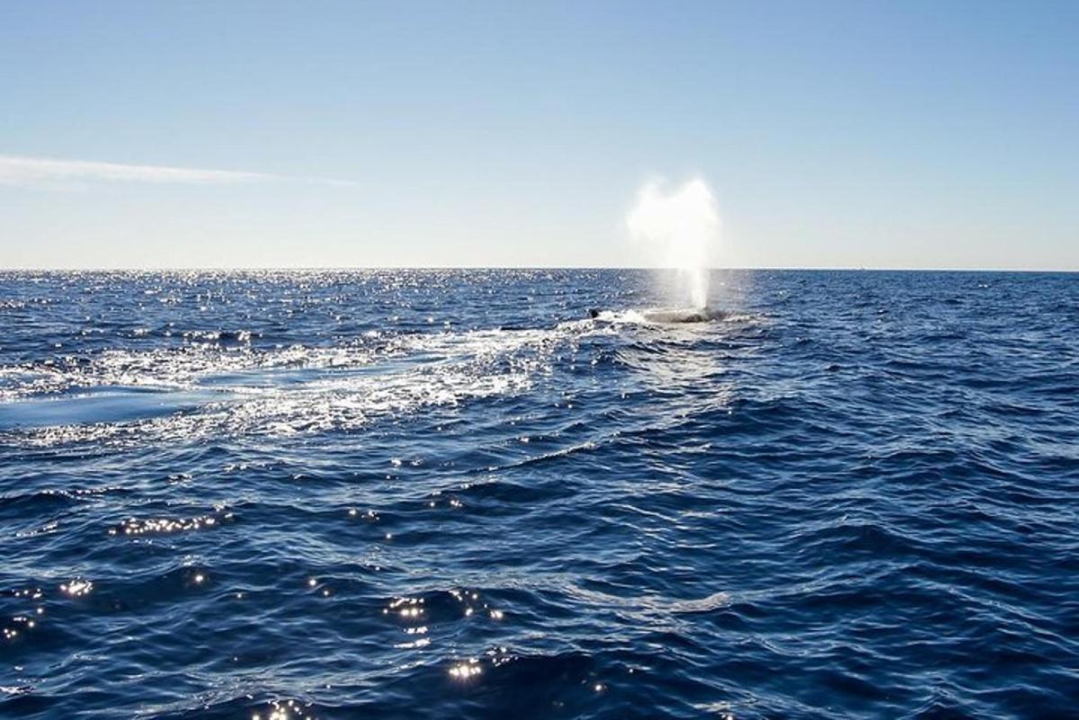vlna uprostřed oceánu