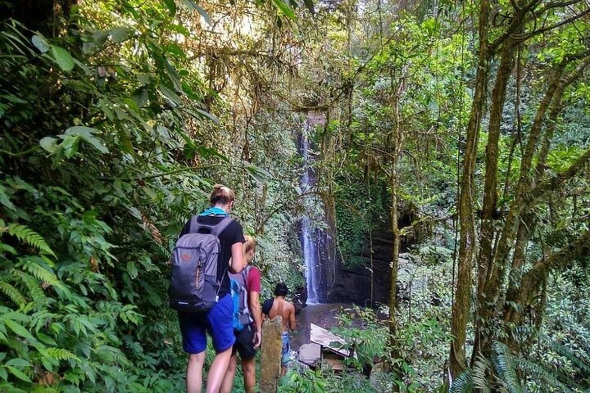 Fotografia da atração 2