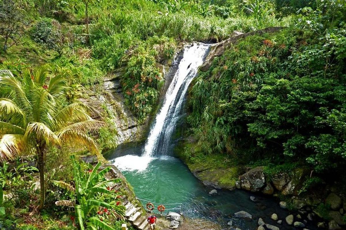 a waterfall in a jungle with green water and palm trees