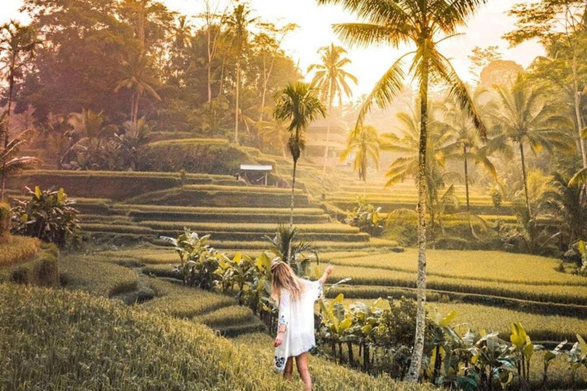 seorang wanita berjalan melalui taman dengan pokok palma
