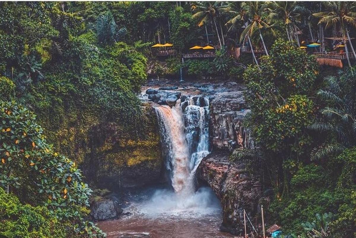 air terjun di tengah-tengah hutan
