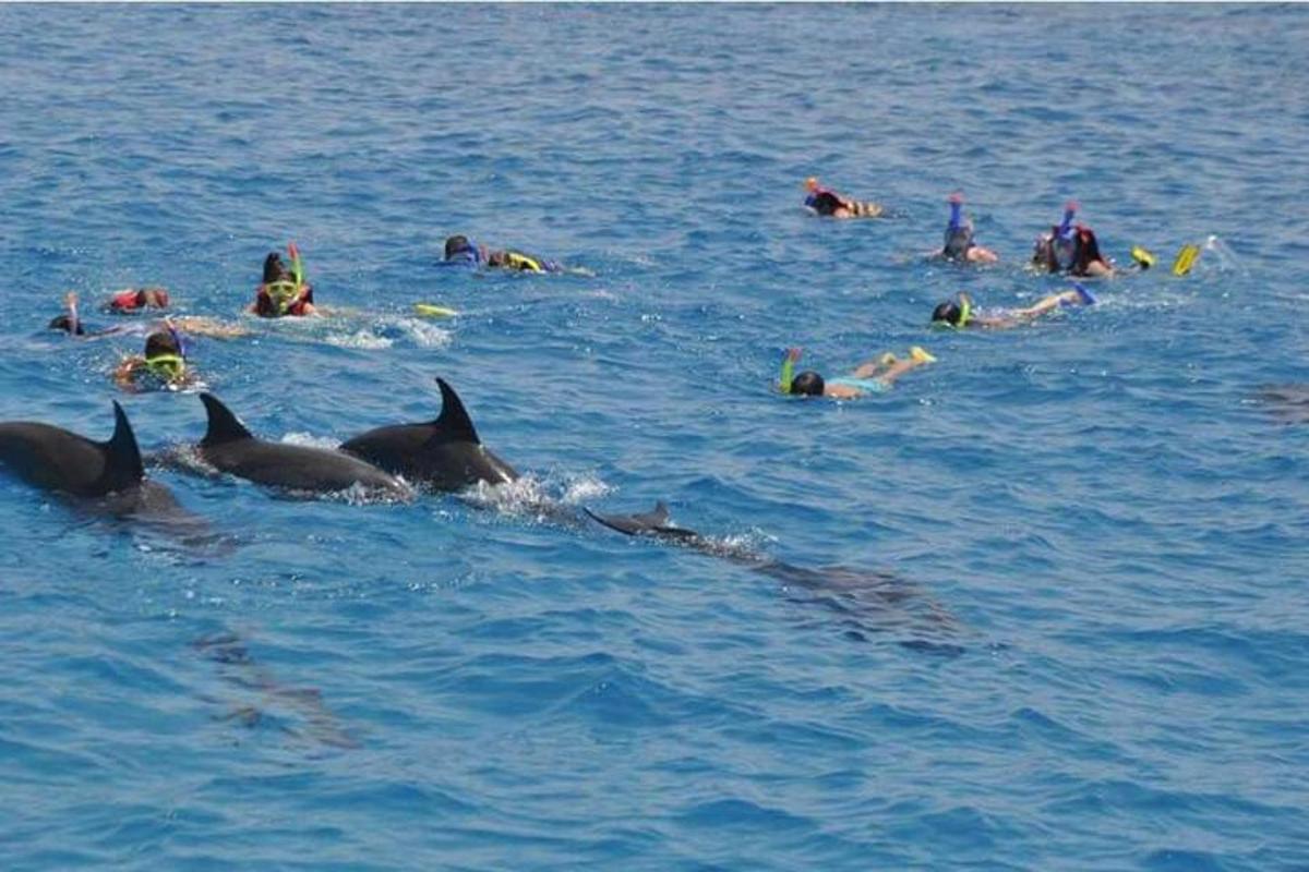 un grupo de personas nadando en el agua